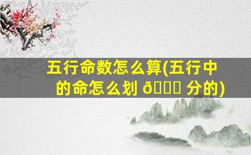 五行命数怎么算(五行中的命怎么划 💐 分的)